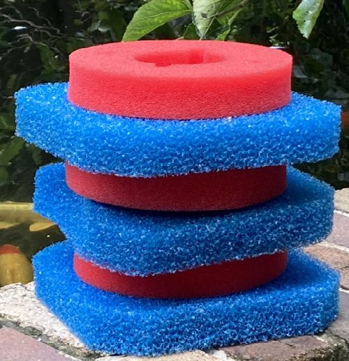 filtoclear 6000 sponges